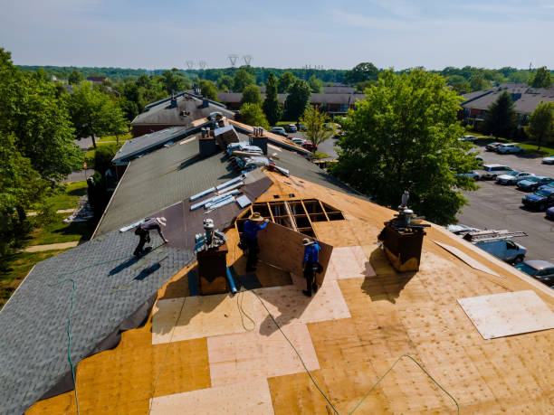 Best Storm Damage Roof Repair  in Little Cypress, TX
